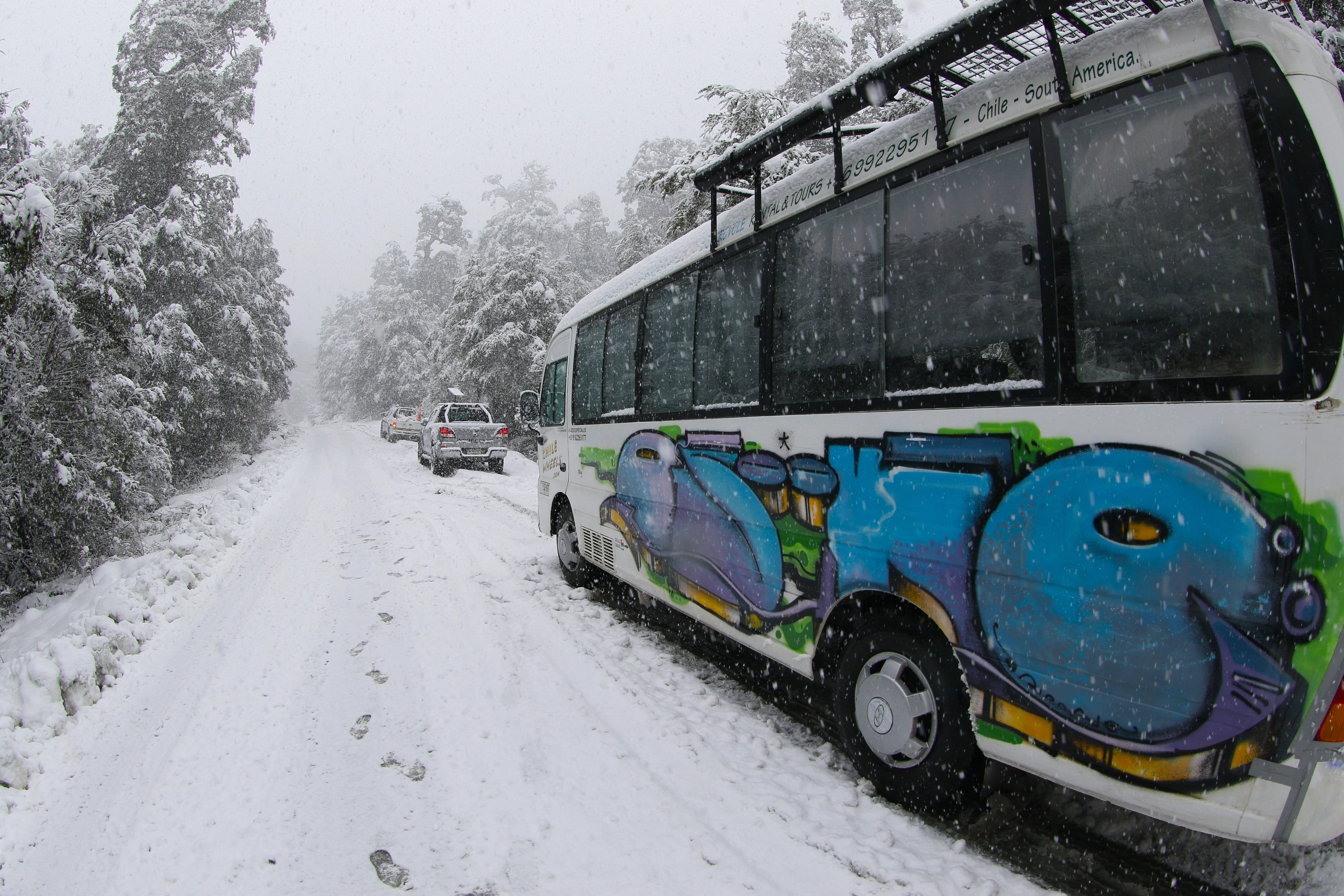 El Sur en invierno 6