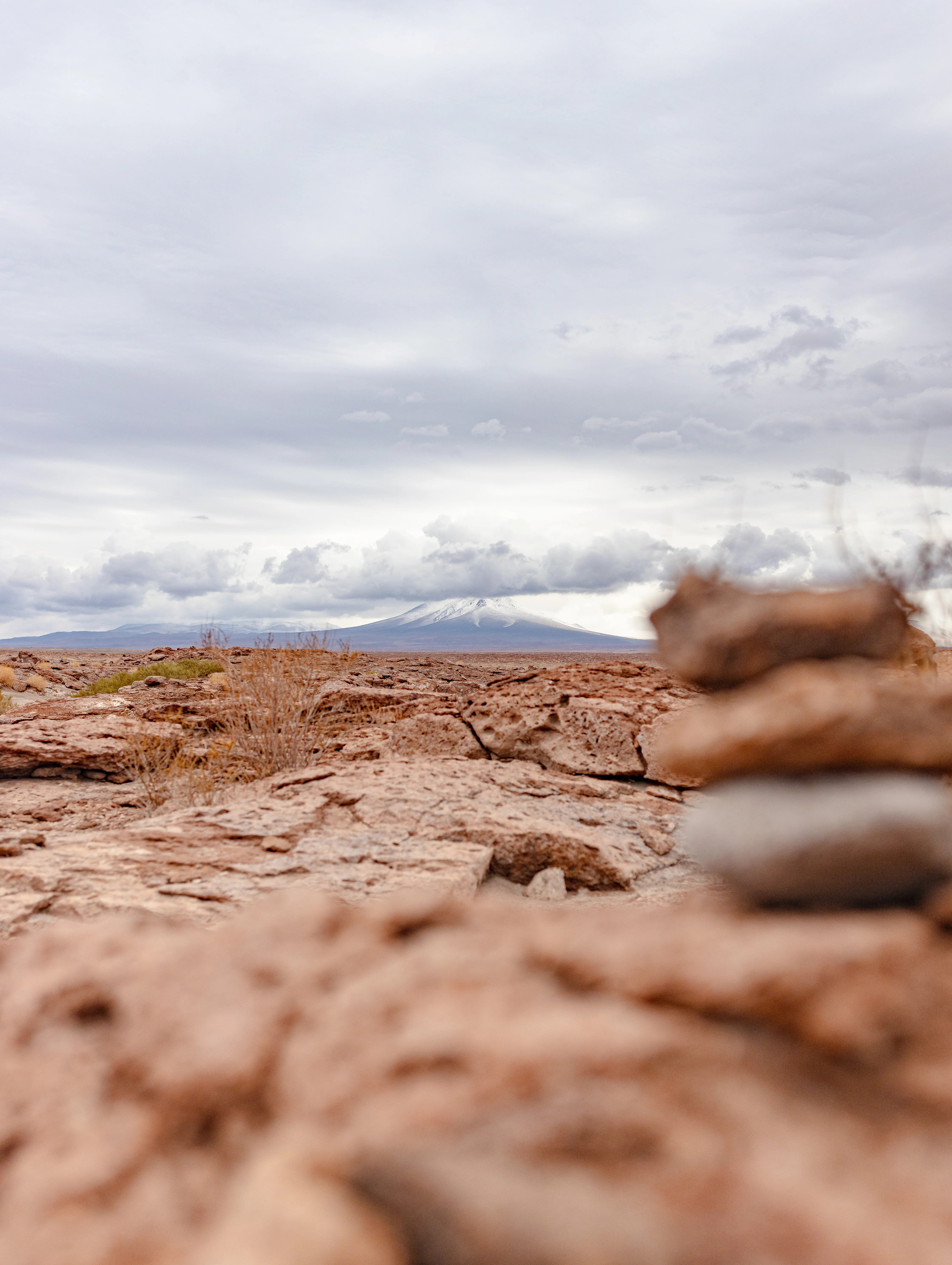 La libertad de la ruta costera