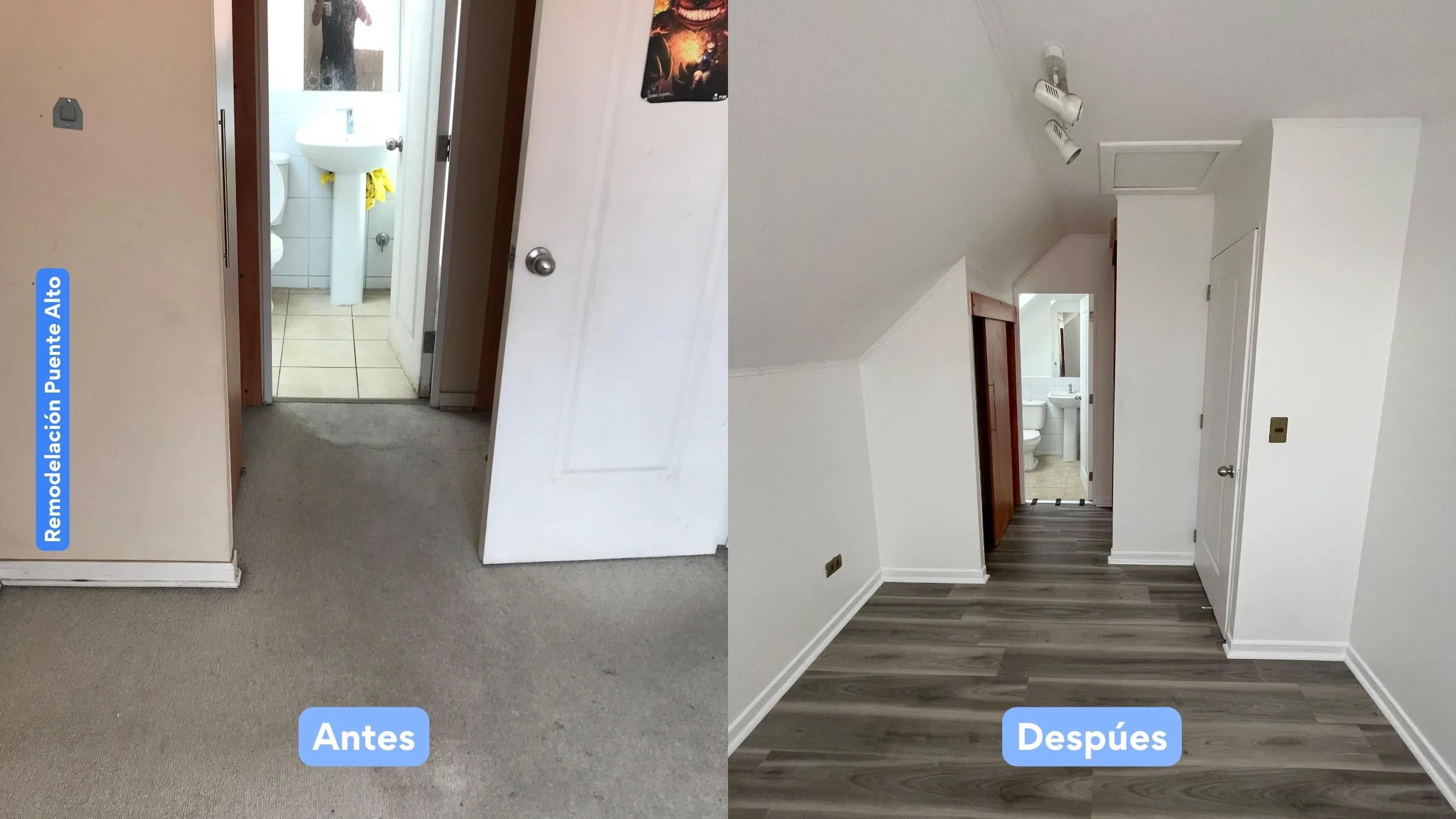 Proyecto MURR