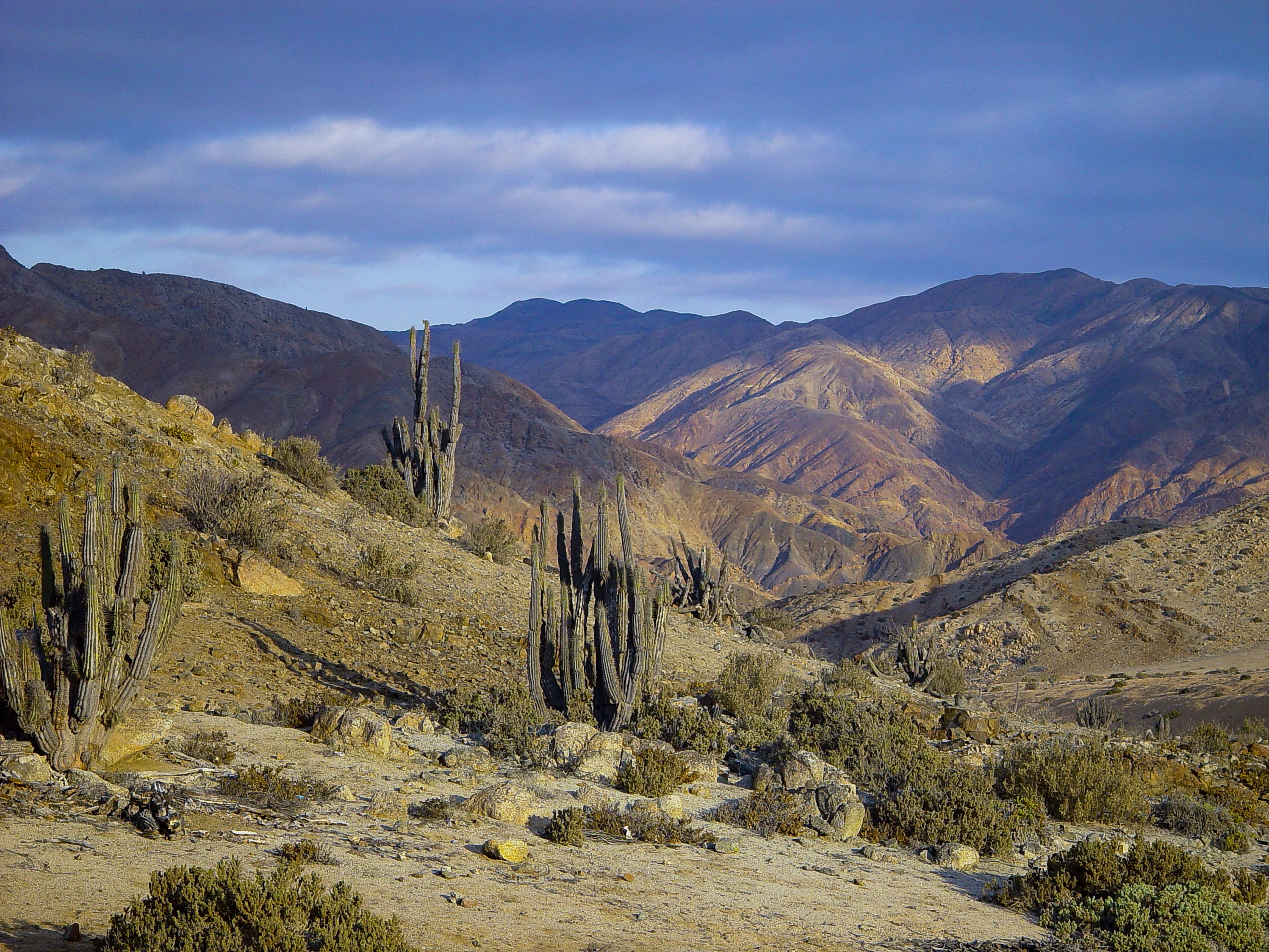 Parque Nacional Pan de Azúcar