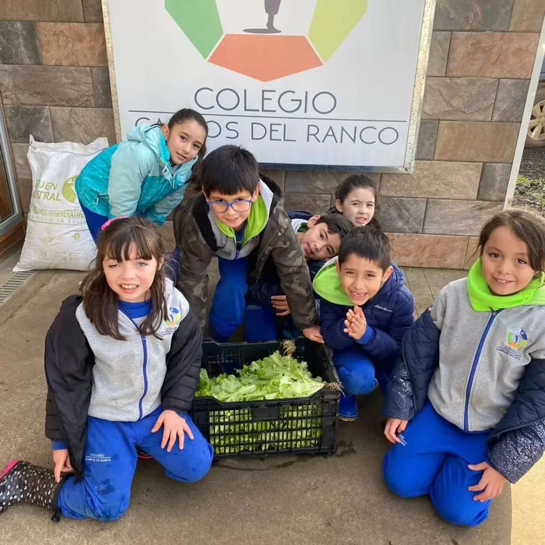 Actividad de la comunidad escolar