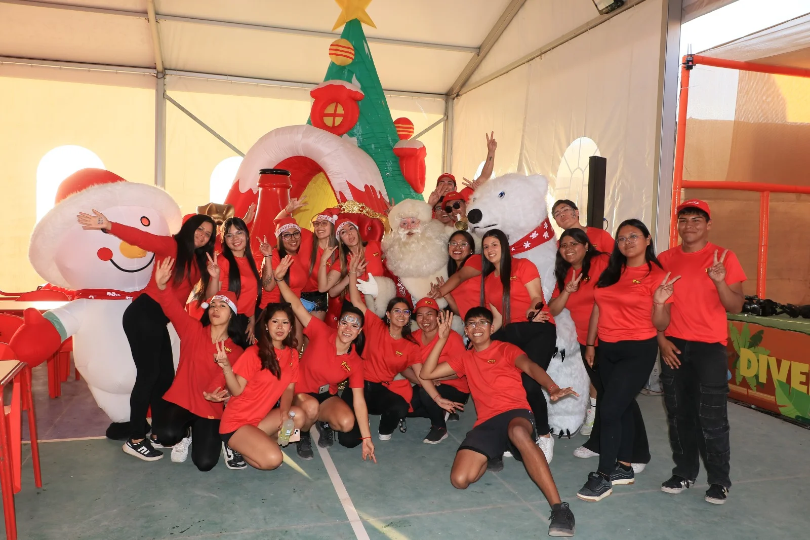 Santa Claus profesional
