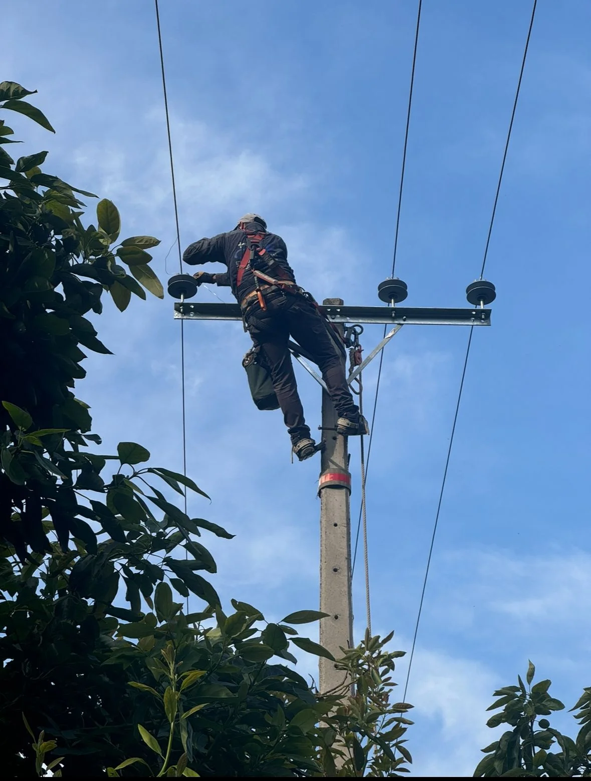 Proyecto eléctrico JAN 11