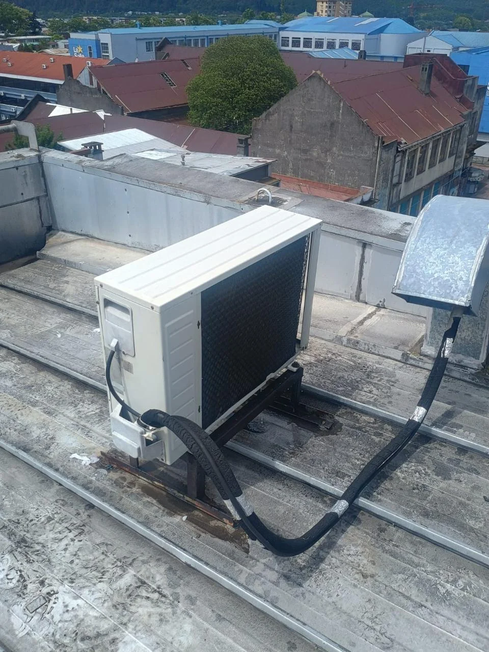 Proyecto Küme Newen